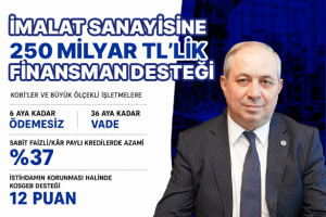 Financial Support is a Significant Opportunity for Yalova Industry.