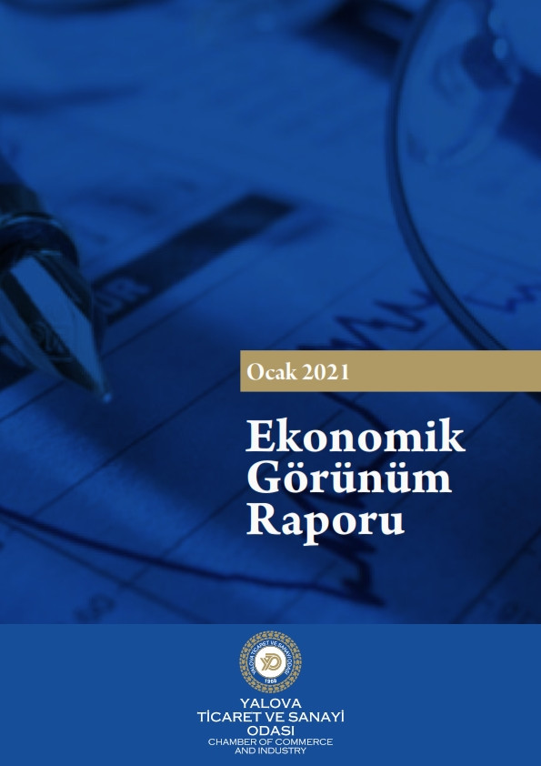 Ekonomik Görünüm Raporu 2021/01