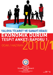 Economic Due Diligence Survey Report 2010/1