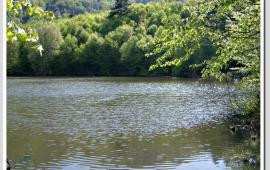 Dipsiz Göl