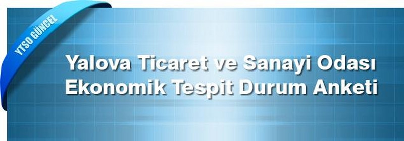 Yalova Ticaret ve Sanayi Odası Ekonomik Durum Anketi 2010