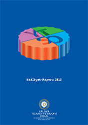 Annual Report 2012