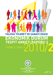 Economic Due Diligence Survey Report 2010/2