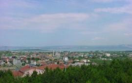 Altınova