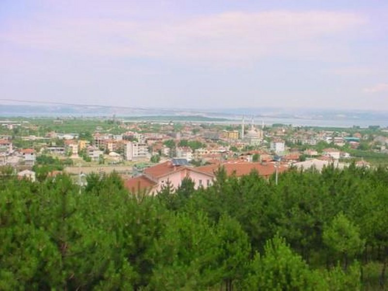 Altınova