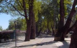 Yalova